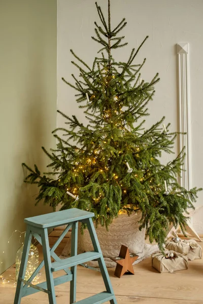 新鲜的圣诞和新年的室内环境 生态风格 圣诞零浪费概念 — 图库照片