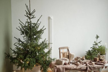 Sıfır Noel konsepti. Çiçek saksılarında ve el yapımı hediye paketlerinde yaşayan Noel ağaçları. 