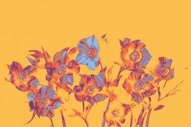 Digital artistic flowers on a soft peach background. Bold edit with violet, orange, and blue hues. Modern botanical style, minimal and decorative. Copy space 
