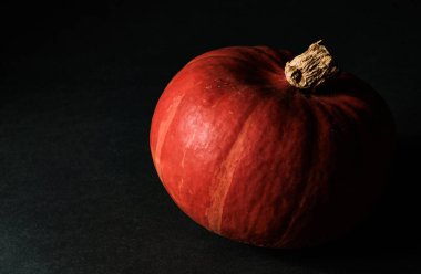 Tek kırmızı turuncu balkabağı desenli yüzeyi ve siyah arka planda kuru gövdesi, karamsar ışığı ve koyu gölgesi var. Yiyecek, tarım, sonbahar, organik, hasat, Şükran Günü, Cadılar Bayramı için ideal. 