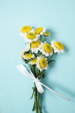 Nane arkaplanında beyaz kurdeleyle bağlanmış kasımpatı buketi, dik kompozisyon. Zarif, taze, eko markalaşma için ideal, düğün, davetiyeler, cilt bakımı, doğal ürünler, sağlık. 