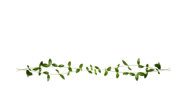 Şeffaf arkaplanda alt kenar boyunca doğal bir bölme oluşturan parlak yeşil yapraklarla menekşe renginin hassas yatay dalı, metin, eko markalaşma veya düğün tasarımları için geniş bir üst kopya alanı bırakır.