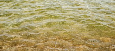 Kumlu çakıl taşlarının üzerinde hafif dalgalar olan temiz sığ deniz suyu, yatay formatta sıcak doğal kıyı şeridi dokusu, hafif dalgalanmalar ve hafif ışık dalgalarıyla sakin yaz deniz manzarası arka planı.. 