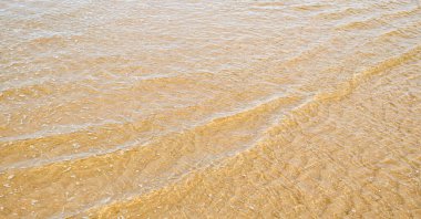 Altın kum üzerinde hafif dalgalar, yatay formatta sıcak kıyı dokusu, yaz için mükemmel doğal plaj arka planı, seyahat ya da tatil tasarımları ile sığ deniz suyu.. 