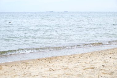 Sakin deniz solgun gökyüzü altında hafif kumlu sahilde hafifçe süzülüyor. Yumuşak ufuk ve kopyalama alanı olan sakin deniz manzarası. Yolculuk ve refah temaları için huzurlu sahil manzarası.. 