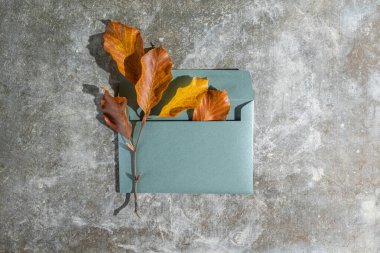 Kuru turuncu ve kahverengi sonbahar yapraklarıyla dolu yeşil deniz mavisi yeşil zarfın üst görüntüsü desenli beton arka plan, sonbahar selamlaması, eko veya Şükran Günü tasarımı için minimum mevsimsel kompozisyon. 