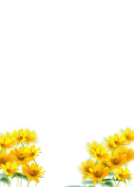 Dikey çiçek arkaplanı, alt köşeleri boyunca parlak sarı papatya çiçekleri, yumuşak odak yeşilliği ve yukarıda büyük beyaz fotokopi alanı, poster, tebrik kartı kümeleri.. 