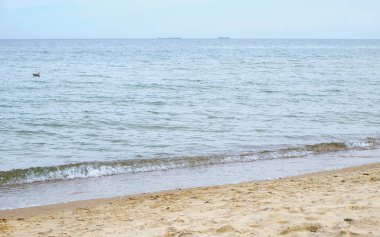 Yumuşak dalgalı Baltık Denizi manzarası ve yumuşak gün ışığında kumlu bir plaj. Minimum deniz manzarası seyahat, doğa, sağlık, yaz tatili kavramları için ideal.