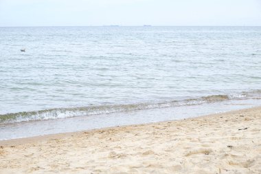 Sakin deniz solgun gökyüzü altında hafif kumlu sahilde hafifçe süzülüyor. Yumuşak ufuk ve kopyalama alanı olan sakin deniz manzarası. Yolculuk ve refah temaları için huzurlu sahil manzarası..