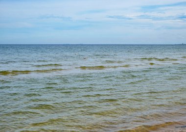 Kıyıya yakın Baltık Denizi 'nin doğal manzarası yumuşak yeşil su ve küçük dalgalarla. Kıyı tasarımı, çevre kavramları, seyahat görselleri ve sakinleştirme geçmişi için ideal.