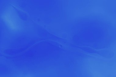 Yumuşak soyut mavi sıvı makrosu ve pürüzsüz akışı. Sakin arka planlar, refah tasarımı, güzellik markalaşması, sunumlar ve modern dijital görseller için ideal. Boşluğu kopyala