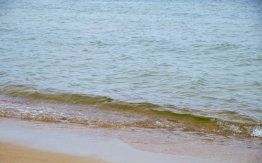 Yumuşak dalgalı Baltık Denizi manzarası ve yumuşak gün ışığında kumlu bir plaj. Minimum deniz manzarası seyahat, doğa, sağlık için ideal.