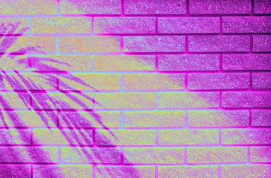 Tropikal palmiye yaprağı gölgeli canlı pembe ve mor tuğla bir duvar. Yaratıcı tasarım, moda ve modern markalaşma kavramları için cesur kentsel arka plan ideali. Boşluğu kopyala