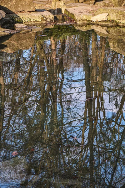 Sıcak günbatımı tonlarıyla sığ sularda canlı ağaç yansımaları, pembe turuncu gökyüzü aynalı, dalgalı yüzey sanatsal desen yaratıyor..