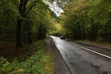 Orman yolu kötü havada