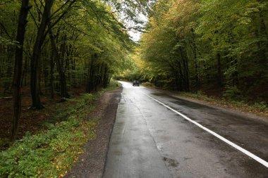 Orman yolu kötü havada