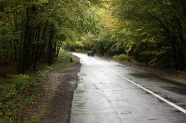 Orman yolu kötü havada