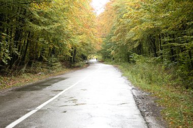 Orman yolu kötü havada