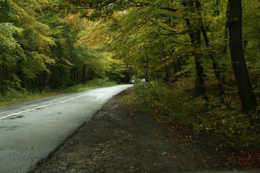 Orman yolu kötü havada