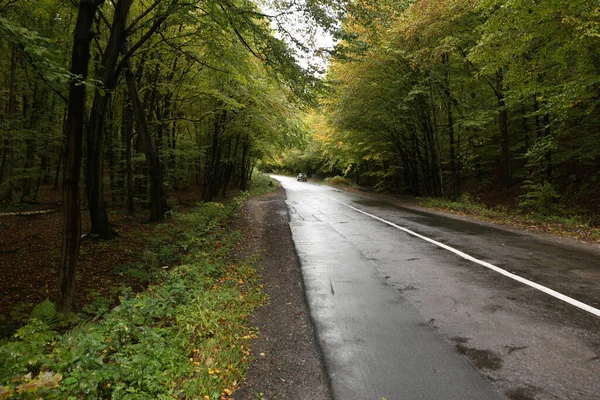 Orman yolu kötü havada