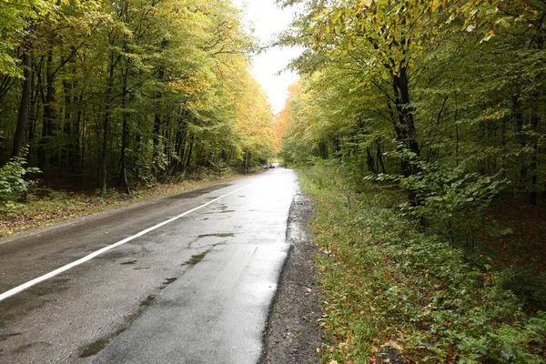 Orman yolu kötü havada