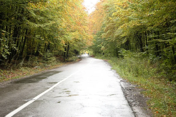 Orman yolu kötü havada