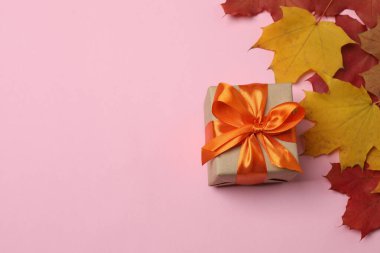 Pembe arka planda balkabakları, meşe palamutları ve düşmüş yapraklar tasarım için yer var..