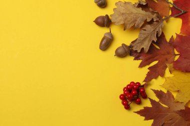 Bal kabakları, meşe palamutları ve düşmüş yapraklar sarı bir zemin üzerinde tasarım alanı ile.