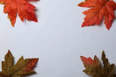 Beyaz Arkaplanda Yapraklar ve Kabaklarla Sonbahar Çerçevesi