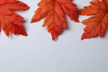 Beyaz Arkaplanda Yapraklar ve Kabaklarla Sonbahar Çerçevesi