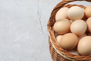 Beton zemine yerleştirilmiş tavuk yumurtaları..