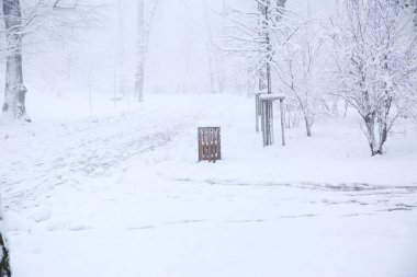 Şehir, şehir sokakları karla kaplı, ilk kar.