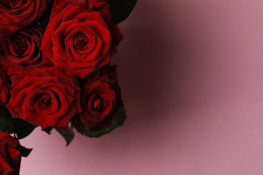 Çiçek buketi: Pembe arka planda taze kırmızı güller