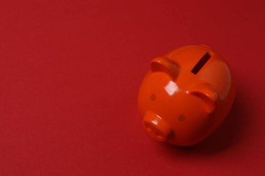 Renkli arka planda domuz kumbarası