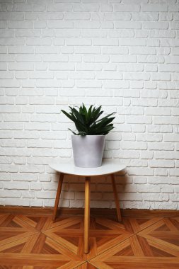 Duvarın arka planında farklı yeşil bitkiler var.