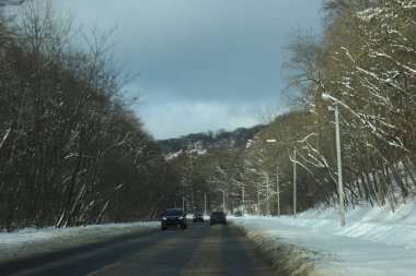 karlı bir ormanda yol
