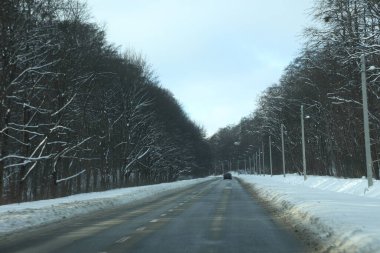 karlı bir ormanda yol
