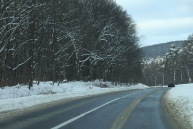 karlı bir ormanda yol