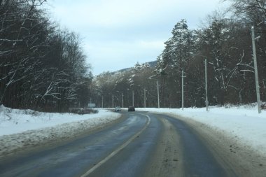 karlı bir ormanda yol