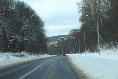 karlı bir ormanda yol