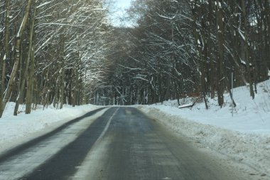 karlı bir ormanda yol