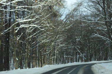 karlı bir ormanda yol