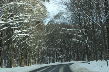 karlı bir ormanda yol