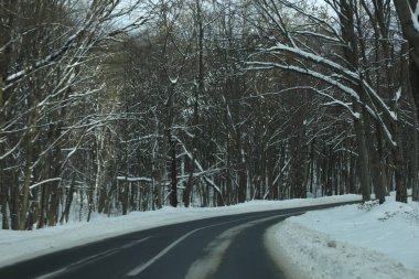 karlı bir ormanda yol