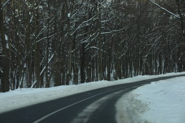 karlı bir ormanda yol