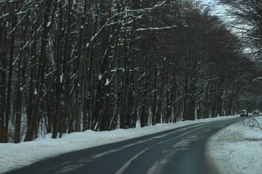karlı bir ormanda yol