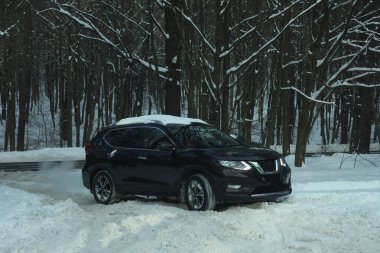 karlı bir ormanda yol