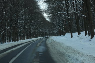 karlı bir ormanda yol