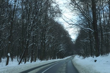 karlı bir ormanda yol