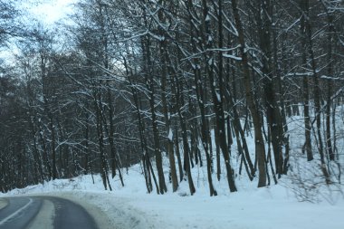 karlı bir ormanda yol